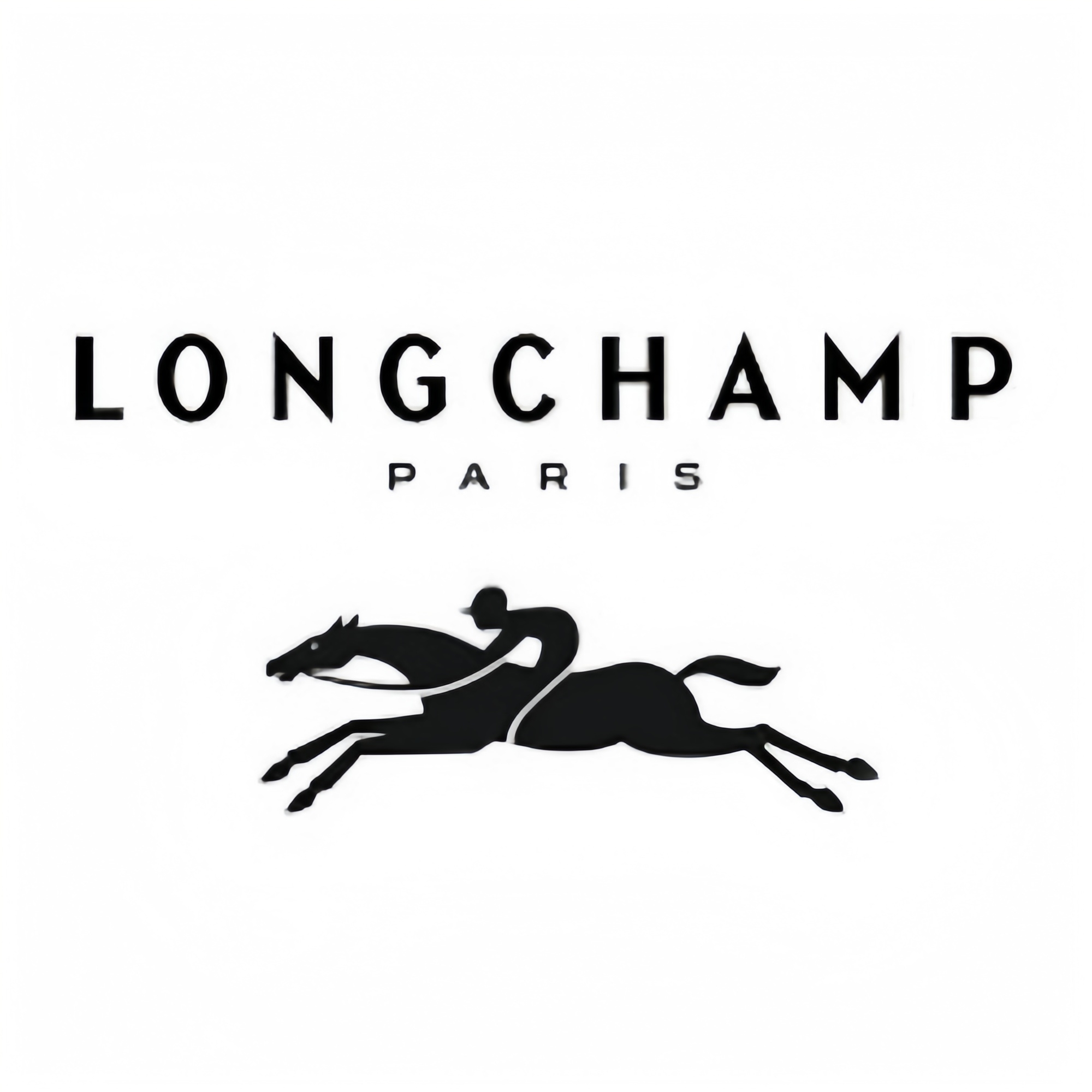 Longchamp Bag